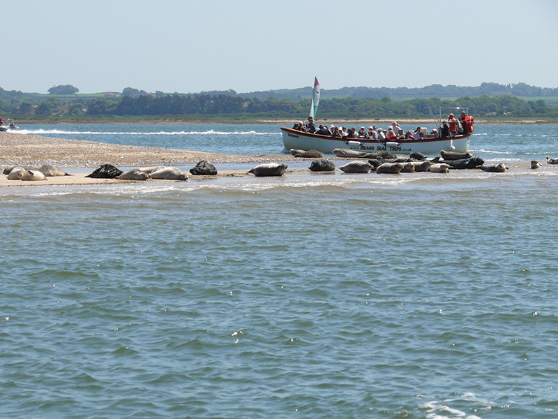 Seafarer arrives at the Point and gets close to a few seals